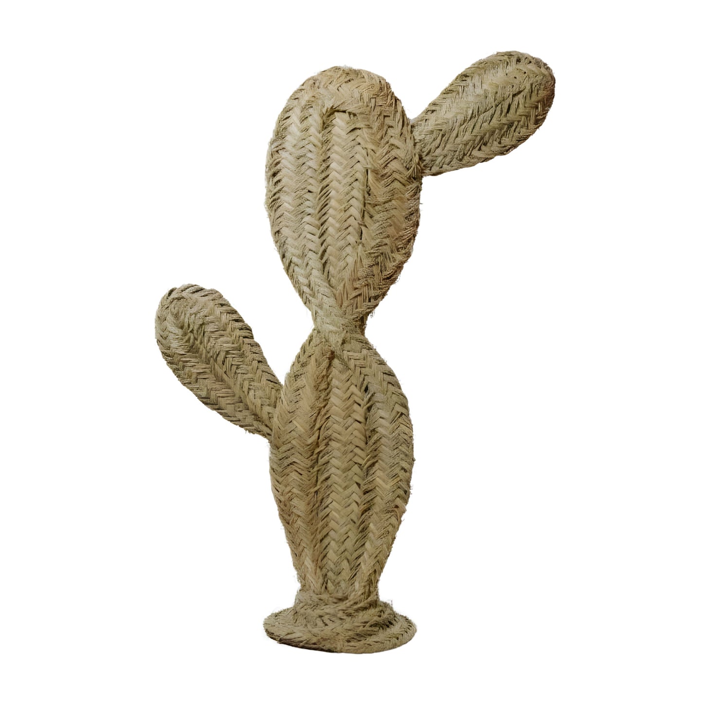 DAYET - Cactus décoratif en alfa - Figuier de Barbarie