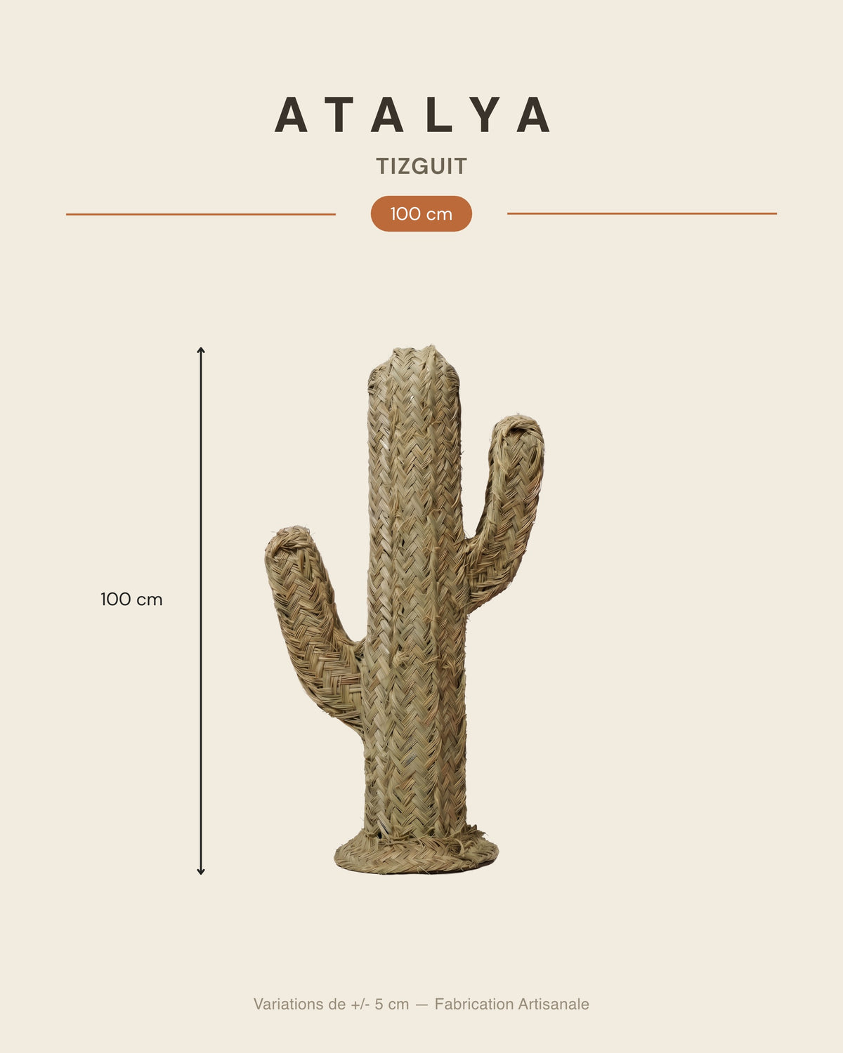 TIZGUIT - Cactus décoratif en alfa - Saguaro — dimensions 100 cm
