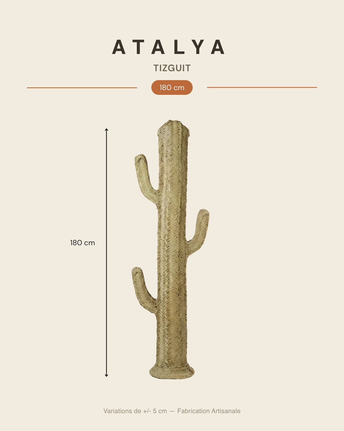 TIZGUIT - Cactus décoratif en alfa - Saguaro — dimensions 180 cm