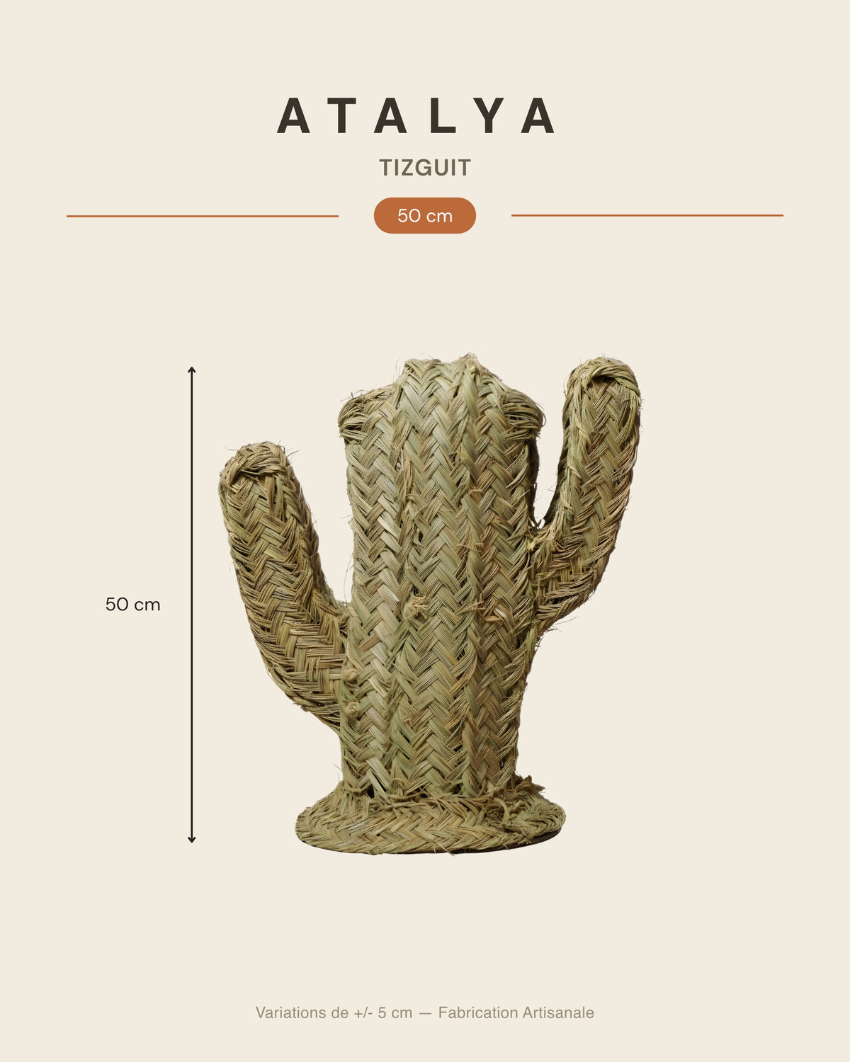 TIZGUIT - Cactus décoratif en alfa - Saguaro — dimensions 50 cm