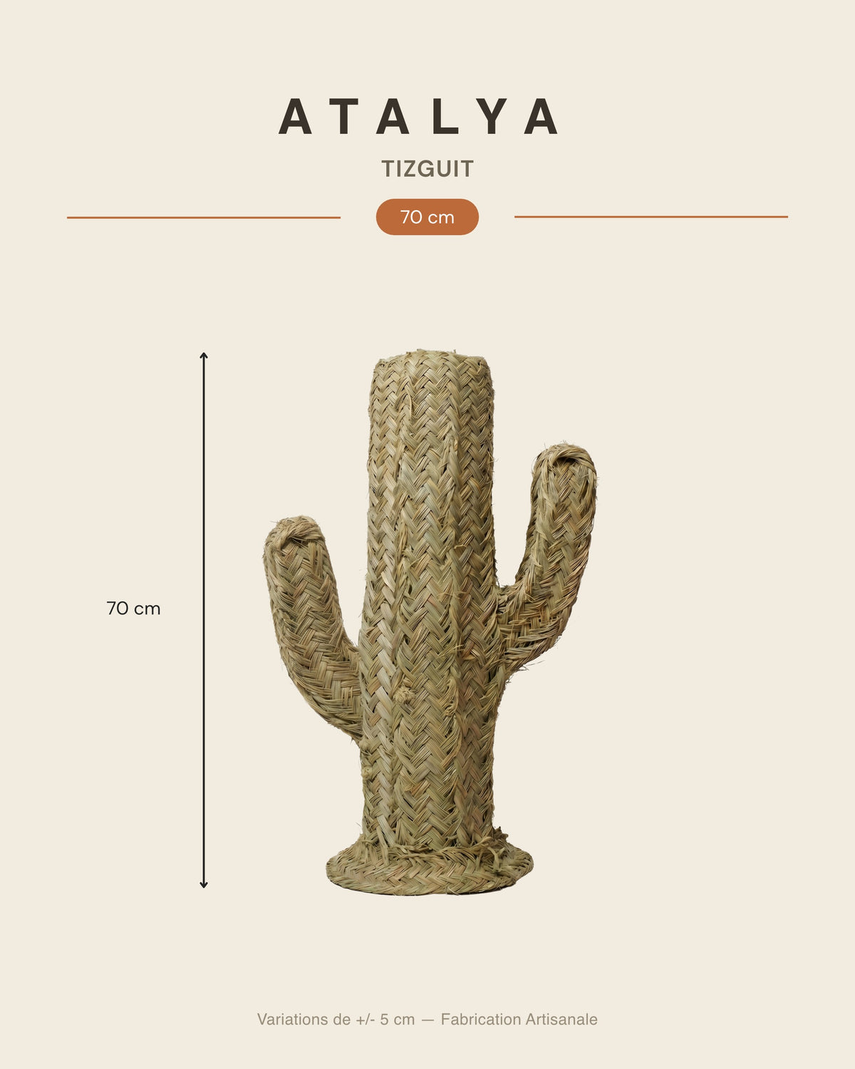 TIZGUIT - Cactus décoratif en alfa - Saguaro — dimensions 70 cm