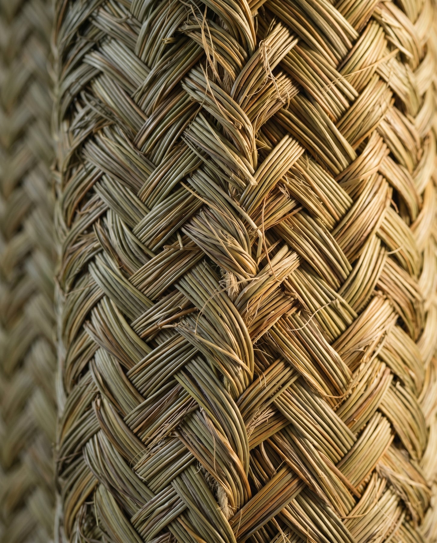 TIZGUIT - Cactus décoratif en alfa - Saguaro